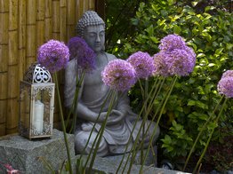 Japanischer Kiesgarten mit Buddahstatue und Zierlauch