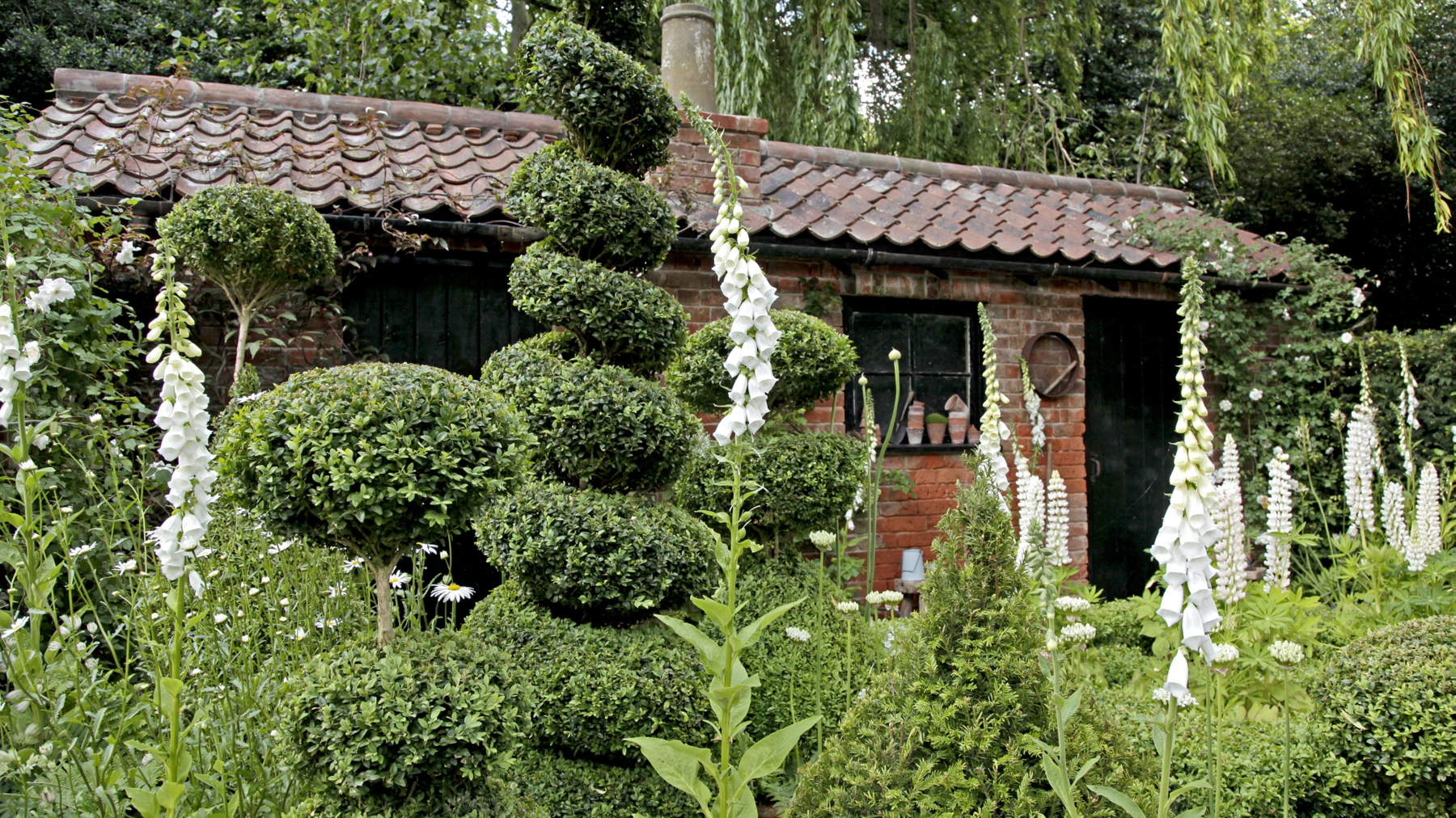 Formgehölze, weißer Fingerhut und Gartenhaus