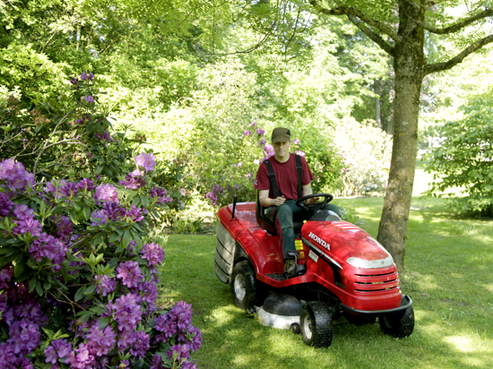 Gärtner bei der Gartenpflege Rasenschnitt mit Aufsitzmäher